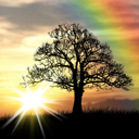 �ճ���̬��ֽ SunRise v3.2