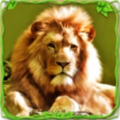 ��ŭ��ʨ��ģ��