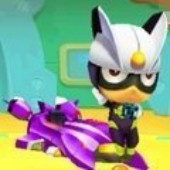 ���ĳ�������