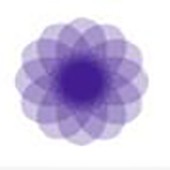 ��������(Mandala Paint)