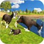 ɽ���ͥģ����