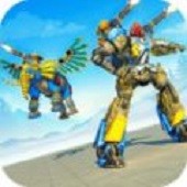 ���д��������