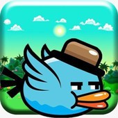 ����(crazy bird)