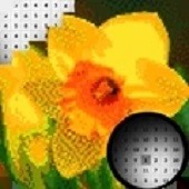 ��ˮ����ɫ