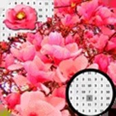 ��������������