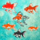 ��������