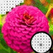 �����տ���ɫ