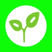 ���߲��г�