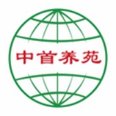 ������Է