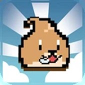 ����̽������