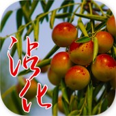 ����մ�� 