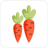 ������ѡ