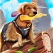 Zoro���ﹷ����