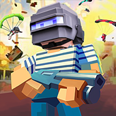 �Լ�����