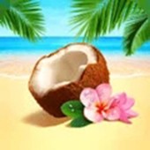 ��Ȼ����