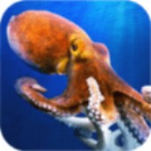 ���ΰ�צ��2(Octopuzzle)