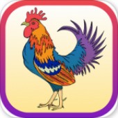 ÿ�ʶ�����(Every stroke is vivid)