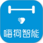 �˹�����(Hi-go Smart)