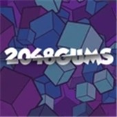 �Ųʷ���2048