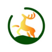 ¹������