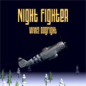 ҹս�߶�ս��(Night Fighter WW2 Dogfight)