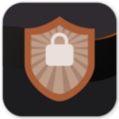 ������ȫ���