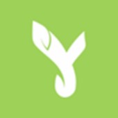 �Ż�����