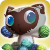 ���è��(Shooter cat)