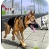 ����ģ����(Dog Sim)