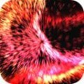 ��������ģ����