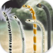 ������԰(Garden Eel)