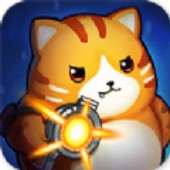 ������æ