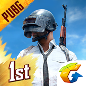 �Լ����ι��ʷ�(PUBG MOBILE)