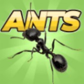 �ڴ�����ģ����(Pocket Ants)