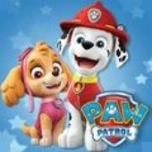 ����Ѳ����������