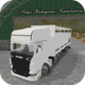 ��ʵ����ģ�������ͼ��