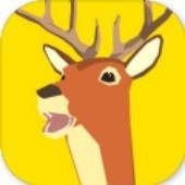 �ǳ���ͨ��¹