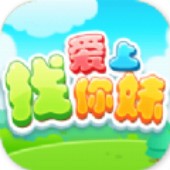 ���������ú����