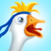 ���ܿ�(Goose Runner)