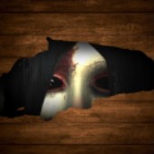 �������а������(The Soul Hunter)