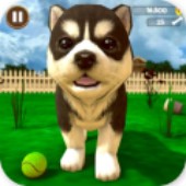 ����С��ģ����