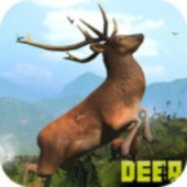 ����ɳ��¹2