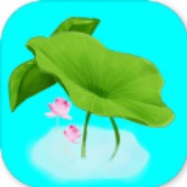 ����ʮ����