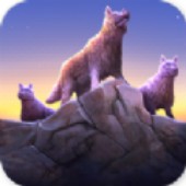 �ǽ���ģ����(Wolf Simulator Evolution)