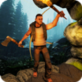 ���յ�Ұ������(9 Day Jungle Survival)