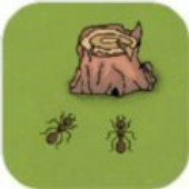 �������(ants)