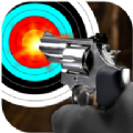 ʵǹ�����ϰ�г�(Real Gun Shooting Practice)������ͼ��