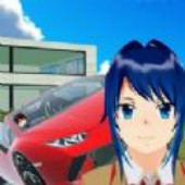 ���߼�ʻѧУģ����(DrivingSchoolSimulator)������ͼ��