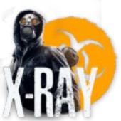 X���߸�����(X-Ray)