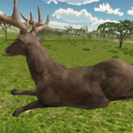 ������·��(Jungle Lost Island - Jungle Adve)